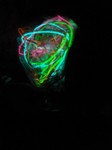 DSC01379.JPG
