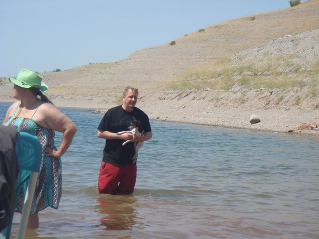 Catch and release